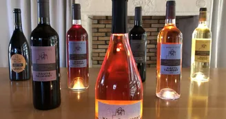 Les Hauts de Talmont