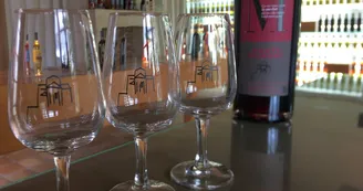 Les Hauts de Talmont