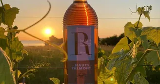 Les Hauts de Talmont