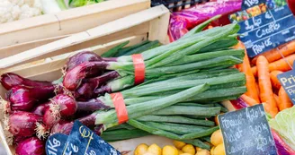 Marché de producteurs hebdomadaire de Salles-Lavalette