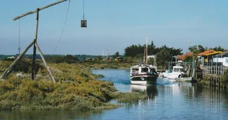 L'Aigrette II - Seudre Croisières