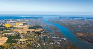 Point de vue - Le Port de Mornac-sur-Seudre