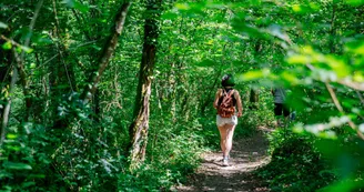 Les carrières de Touvérac