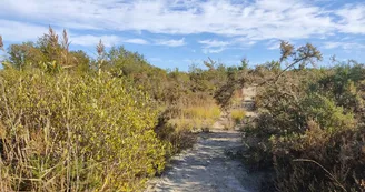 Les carrières de Touvérac