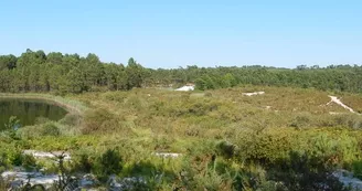 Les carrières de Touvérac