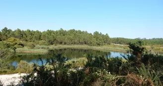Les carrières de Touvérac