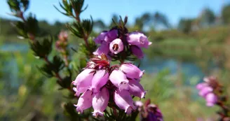 Les carrières de Touvérac