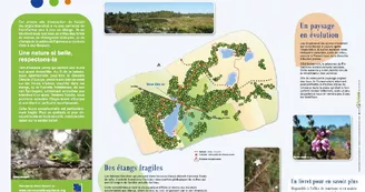 Les carrières de Touvérac