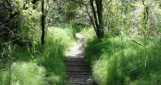 Les carrières de Touvérac