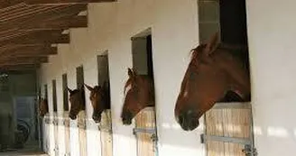 Écurie des Mathines