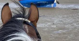 Centre de Tourisme Équestre - L'Étrier Ronçois