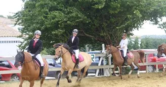 Les Écuries de l'Étang