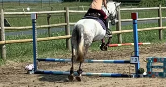 Poney Club Equi Family