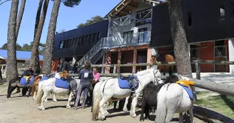 Centre Équestre de l'Estuaire