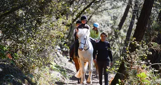 Centre Équestre de l'Estuaire