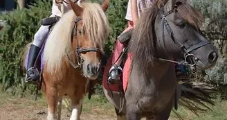 Centre Équestre de l'Estuaire