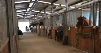 Centre Équestre de Royan - Maine Gaudin