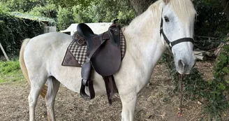 Les Cavaliers d'Oléron