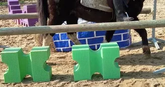 Centre équestre équ'idée de loisirs