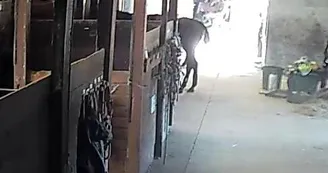 Centre équestre équ'idée de loisirs