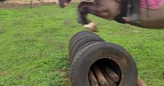 Centre équestre équ'idée de loisirs