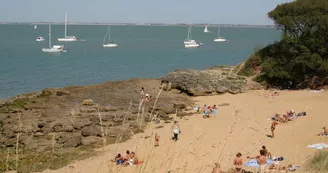 Escale île d'Aix avec tour de Fort Boyard - Compagnie Interîles Escale île d'Aix avec tour de Fort Boyard - Compagnie Interîles