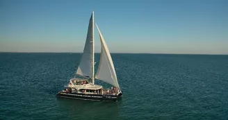 Sortie en catamaran Harmony - Croisières Inter-îles Sortie en catamaran Harmony - Croisières Inter-îles