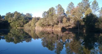 Etang de pêche de Piquedur