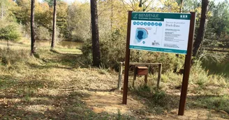 Etang de pêche de Piquedur