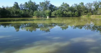 Etang de pêche de Chardes