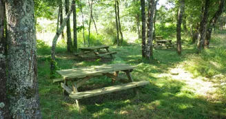 Etang de pêche de Chardes