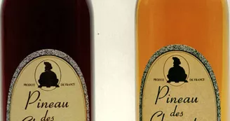 Vignoble Émerit Robier