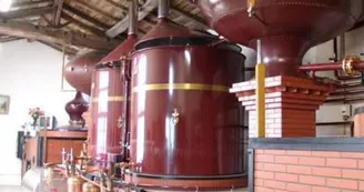 Le Clos de la Groie - Vignoble