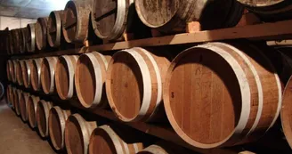 Le Clos de la Groie - Vignoble