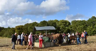 Journées Européennes du Patrimoine