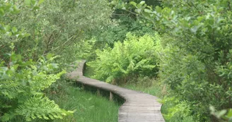 Tourbière de Soubran