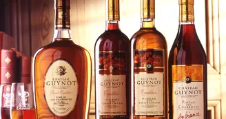 Domaine de Château Guynot