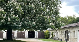 Domaine de Château Guynot