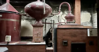 Domaine de Château Guynot