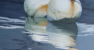 Exposition - Marie-Jo De Neuville