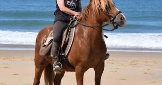LES DADOUS DE LA BRANDE - TOURISME EQUESTRE