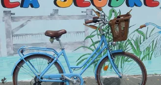 Les Vélos de la Seudre