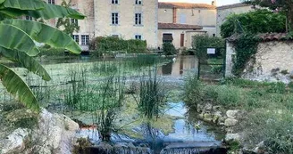 Geocaching : Terra Aventura - Petit gourmet cherche grand cru