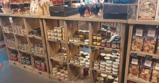 Vignoble Maison Robert