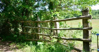 Réserve  naturelle régionale : La Massonne