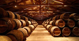 Site d'élaboration - Domaine Rémy Martin