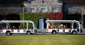 Site d'élaboration - Domaine Rémy Martin