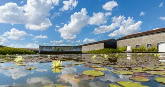 Site d'élaboration - Domaine Rémy Martin