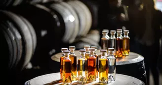 Site d'élaboration - Domaine Rémy Martin