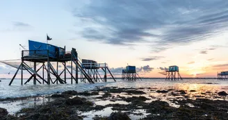 Exposition d'art : Regards sur la Charente-Maritime